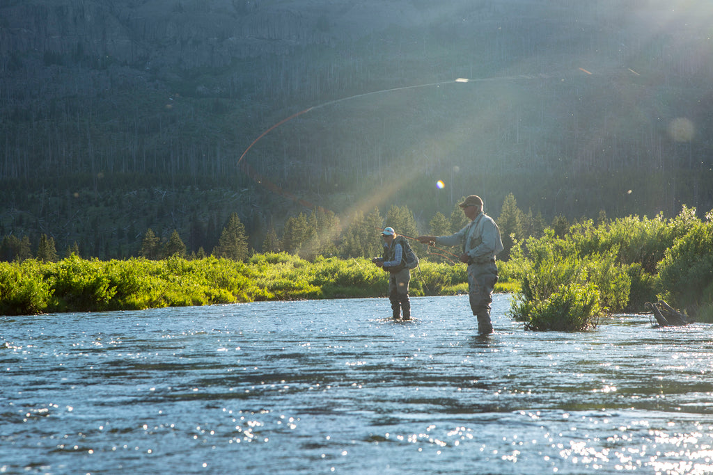 The Return, A Short Film about the Yellowstone Cutthroat